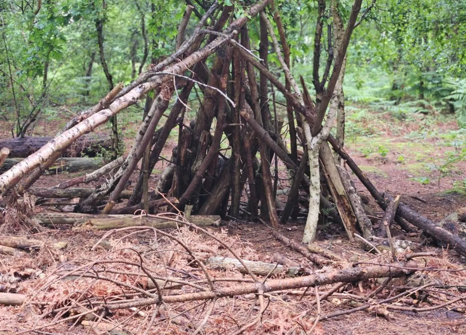 Marigold Lodge 8 At Oakdene Forest Park Saint Leonards United Kingdom